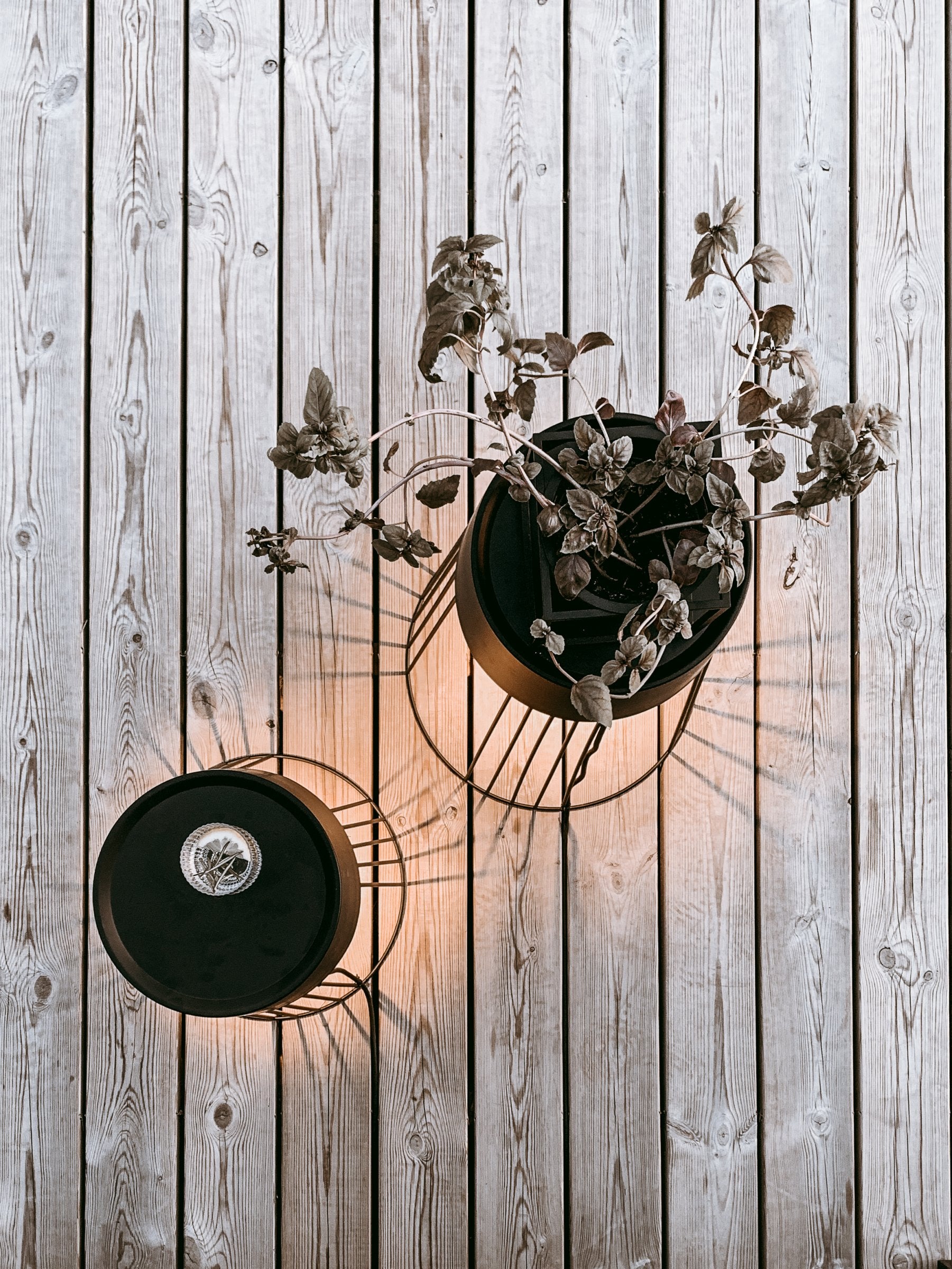 Golvlampa Koster 60 IP44 Svart