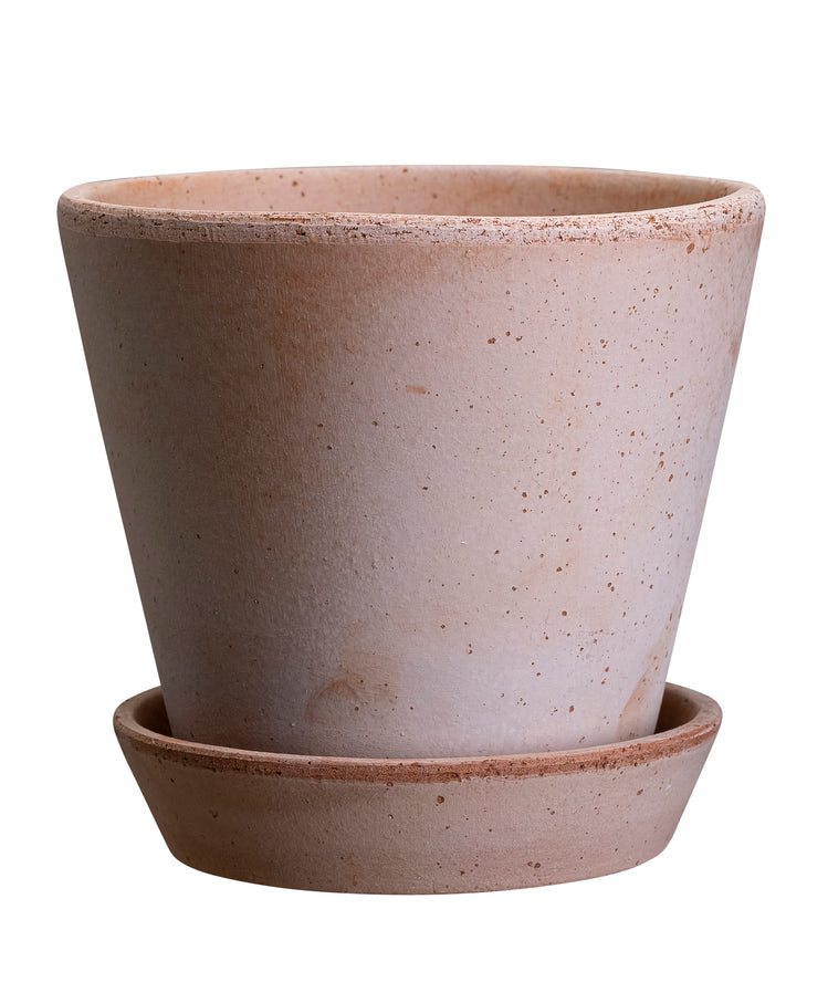BERGS-POTTER_JULIE_rosa.jpg