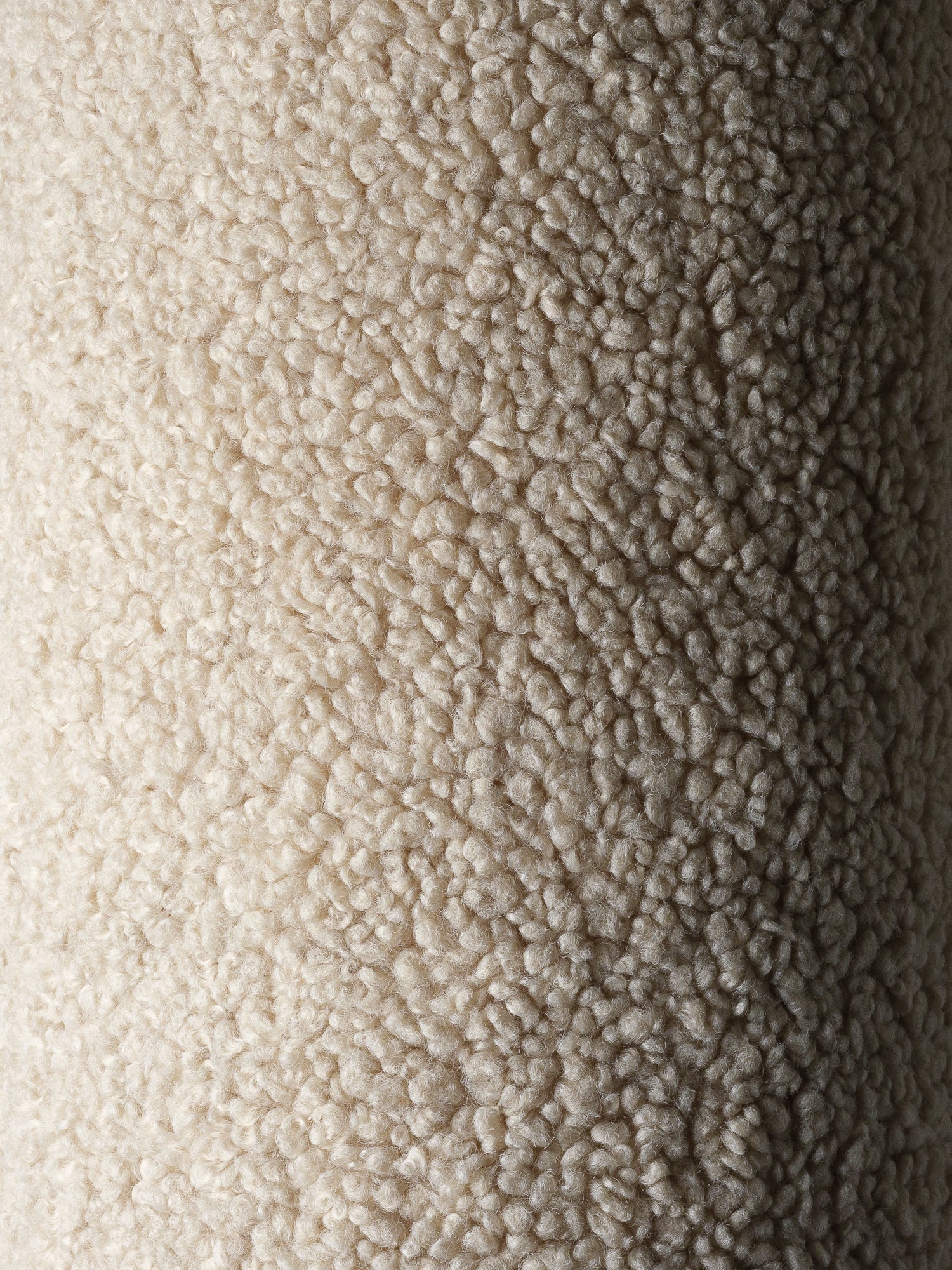Bear Saccosäck, Biscuit