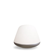Bordslampa Bloom Ø20 satin silver/opal glas