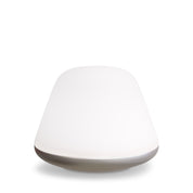 Bordslampa Bloom Ø38 satin silver/opal glas