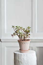 Köpenhamn Kruka Ø21 cm, Rosa