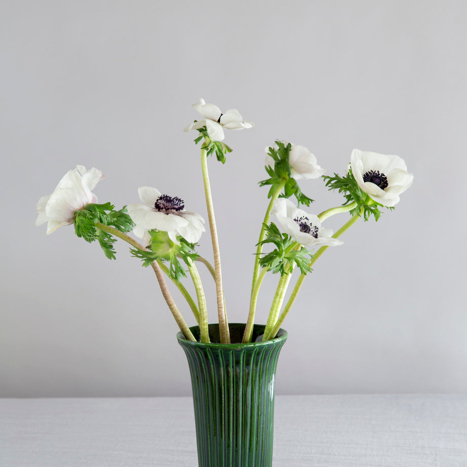 Daisyvaseemeraldgreen.jpg