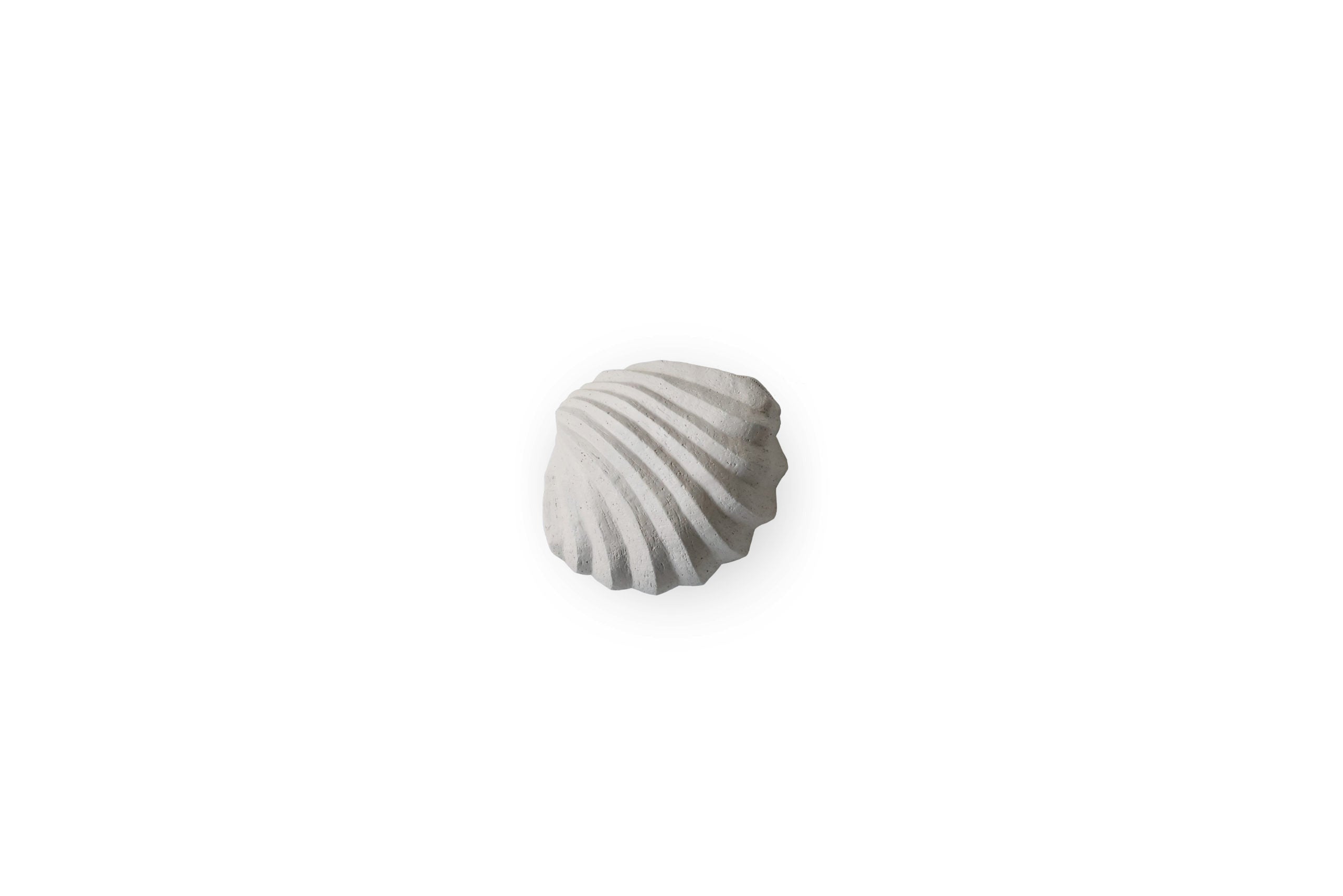 HI-KI-014-LS-The-Clam-Shell-Limestone-scaled.jpg