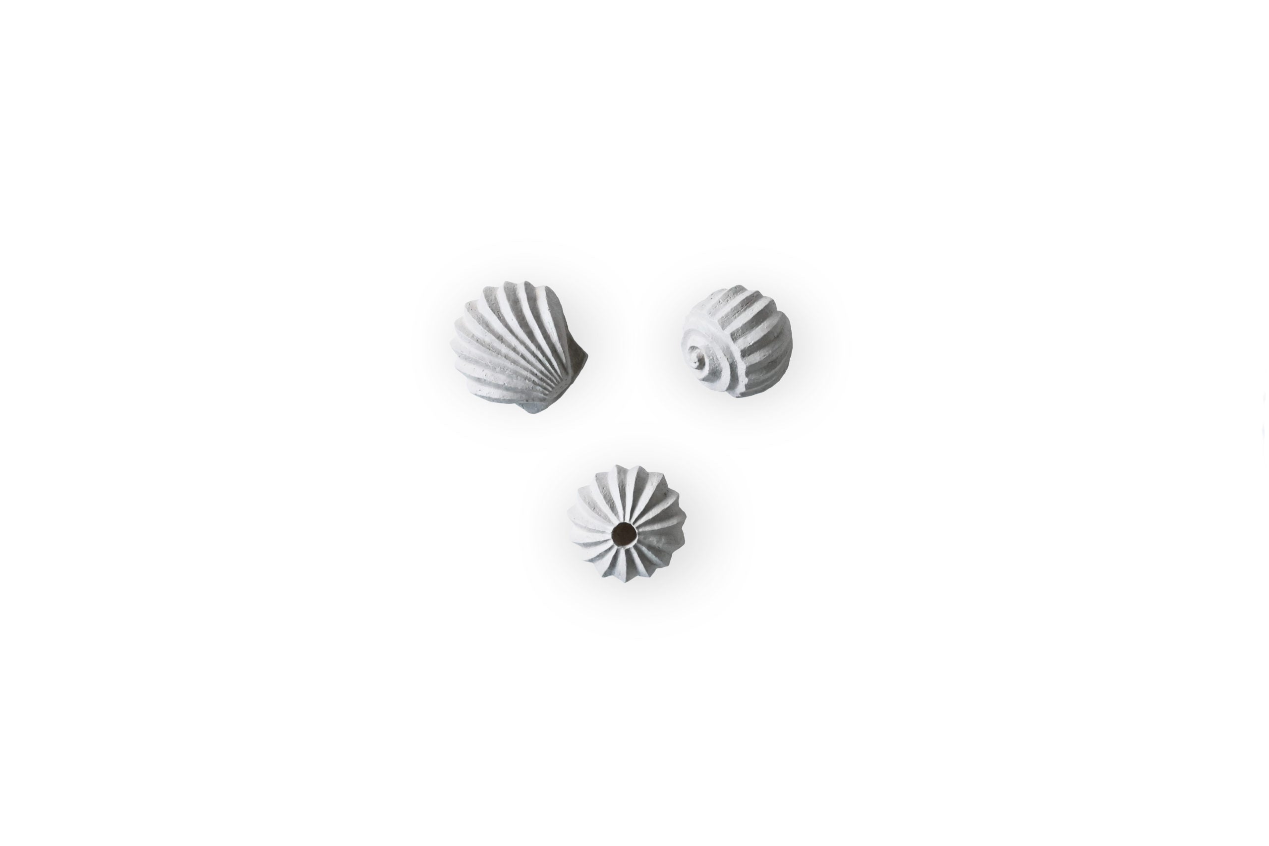 The Genesis Shells Skulptur, Limestone