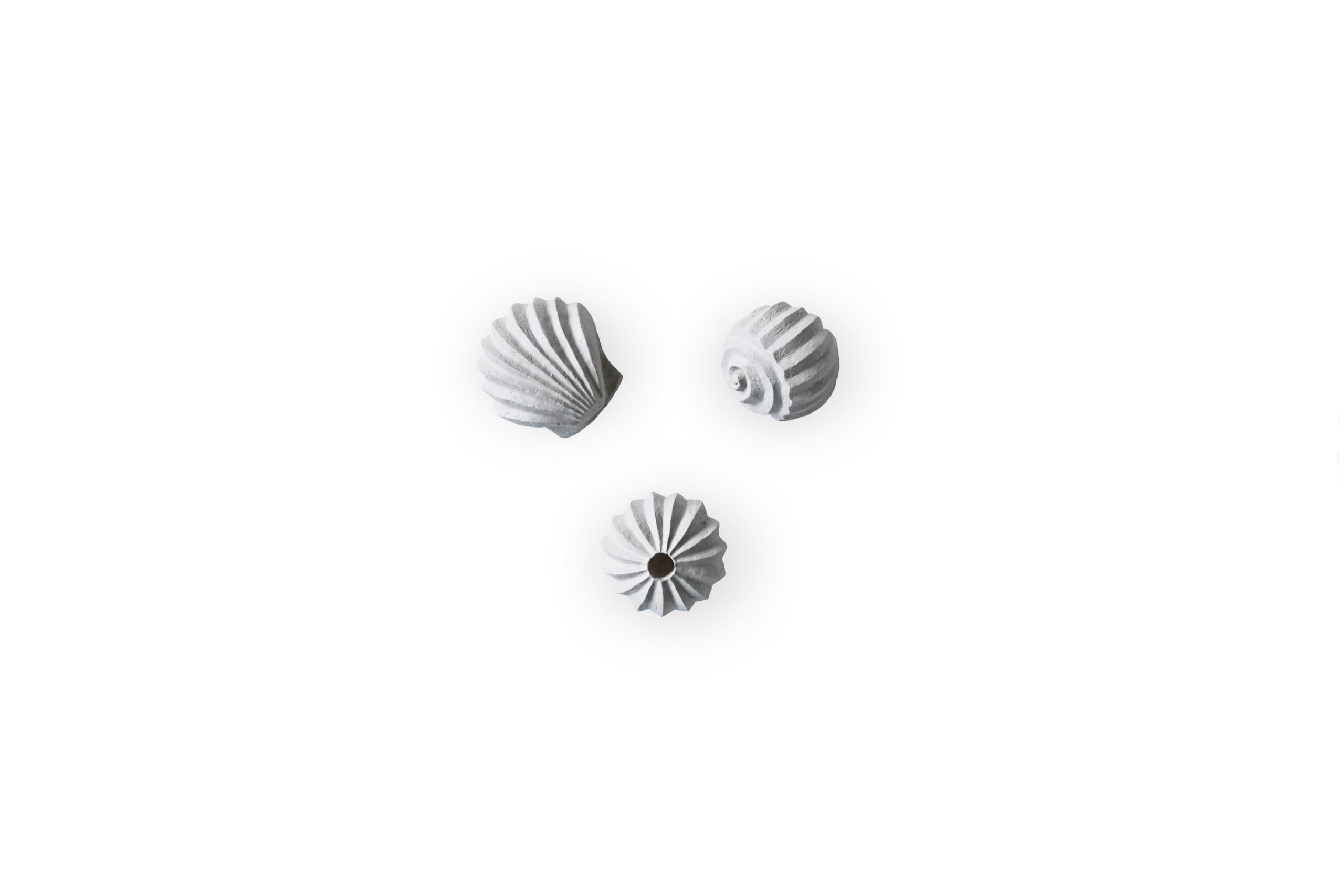 HI-KI-015-LS-The-Geneis-Shells-Limestone-scaled.jpg