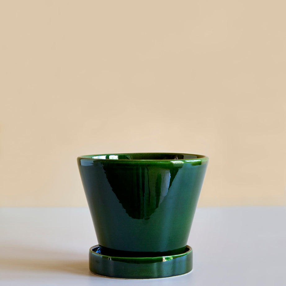 Julie_emeraldgreen_singlepot.jpg