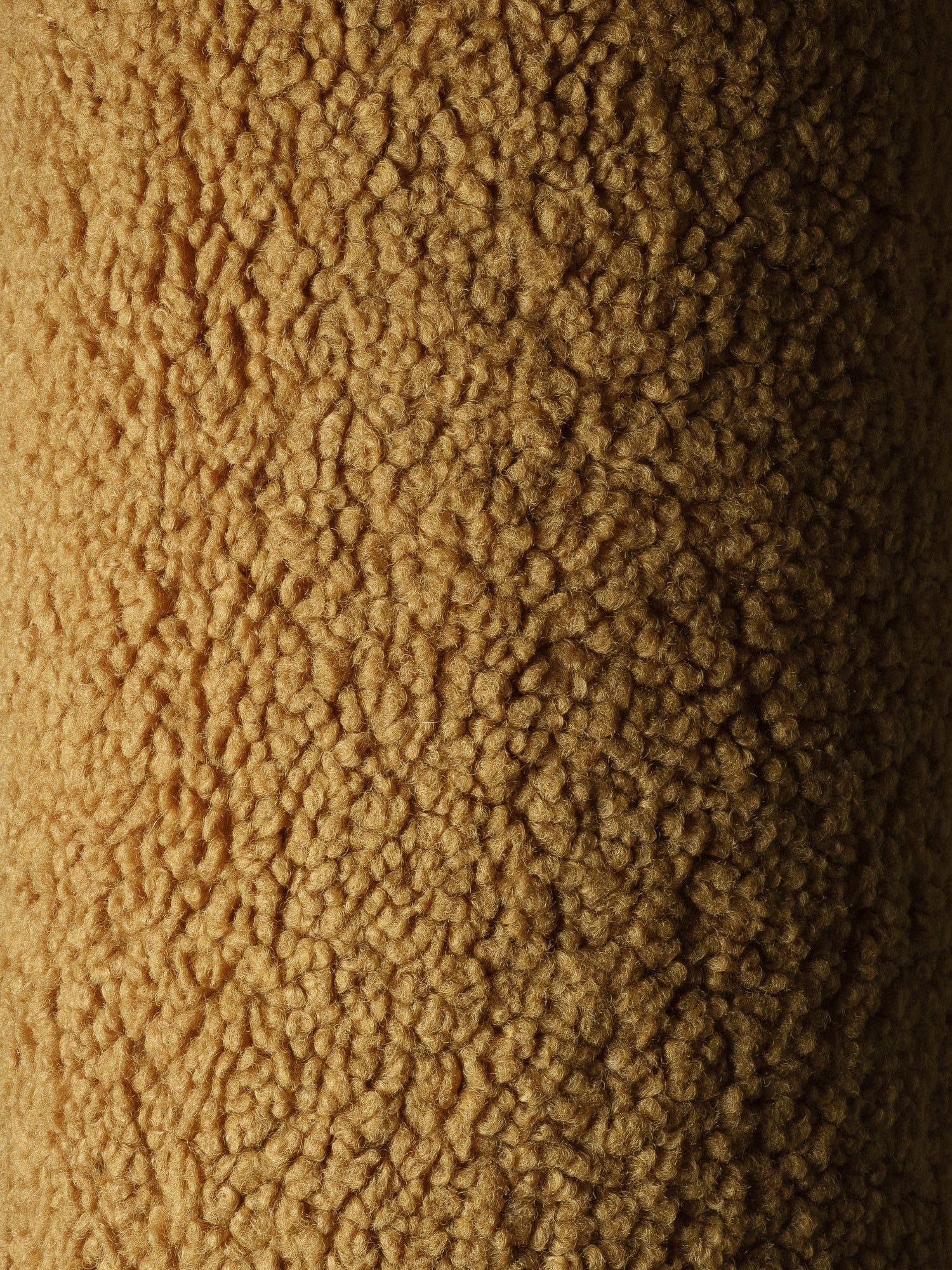 Barnpuff, Maple