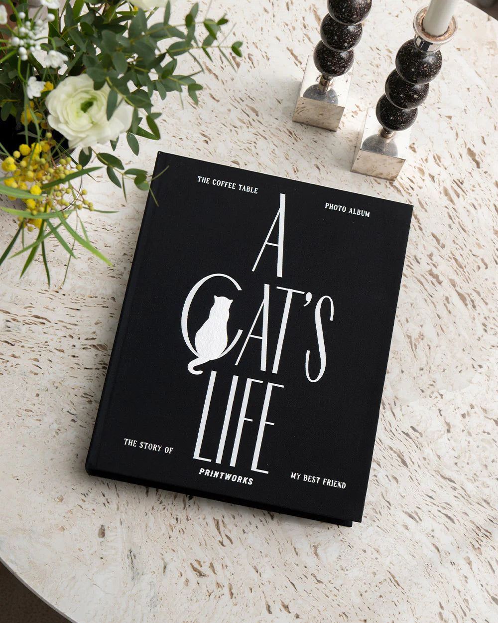 Cat Album - A Cat's Life