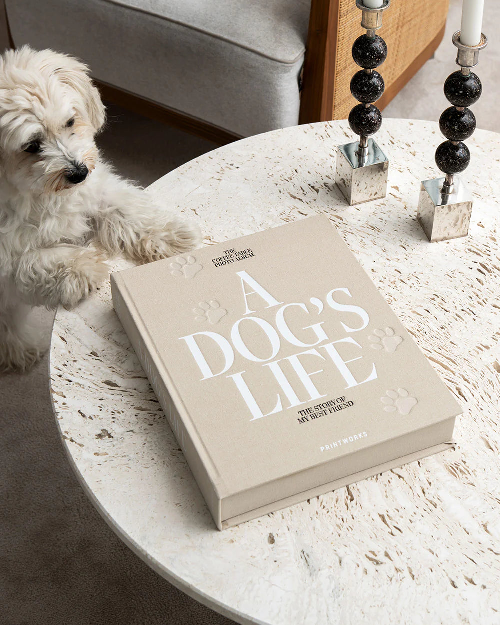 Dog Album - A Dog's Life
