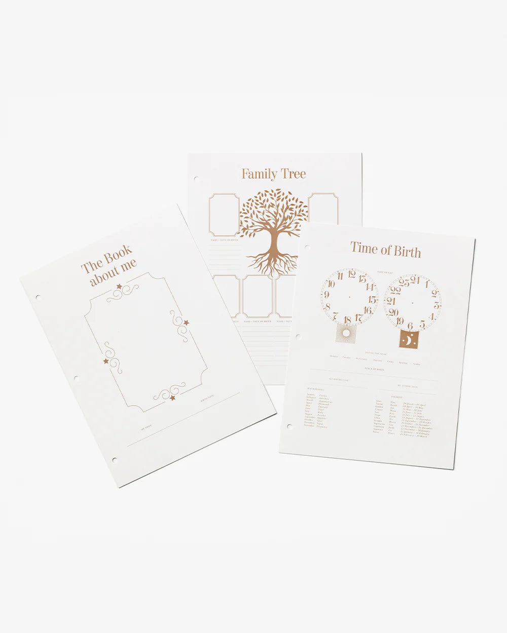 Baby Album Insert Paper - My First Year