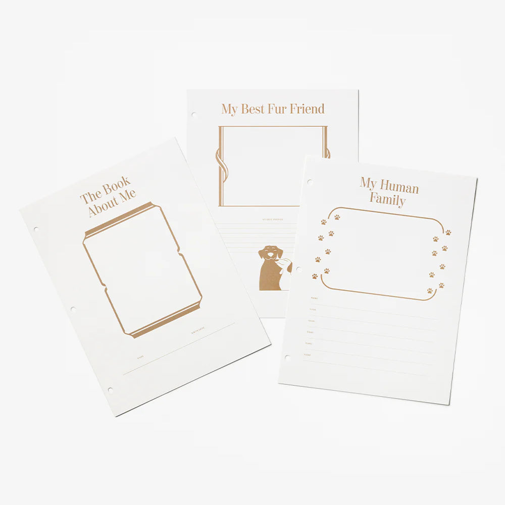 Printworks_insert-papper_dog.webp