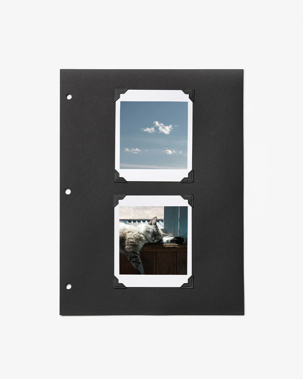 Photo Album - 10-pack Refill Paper (L)