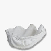 SHELL Dekoration, Vit