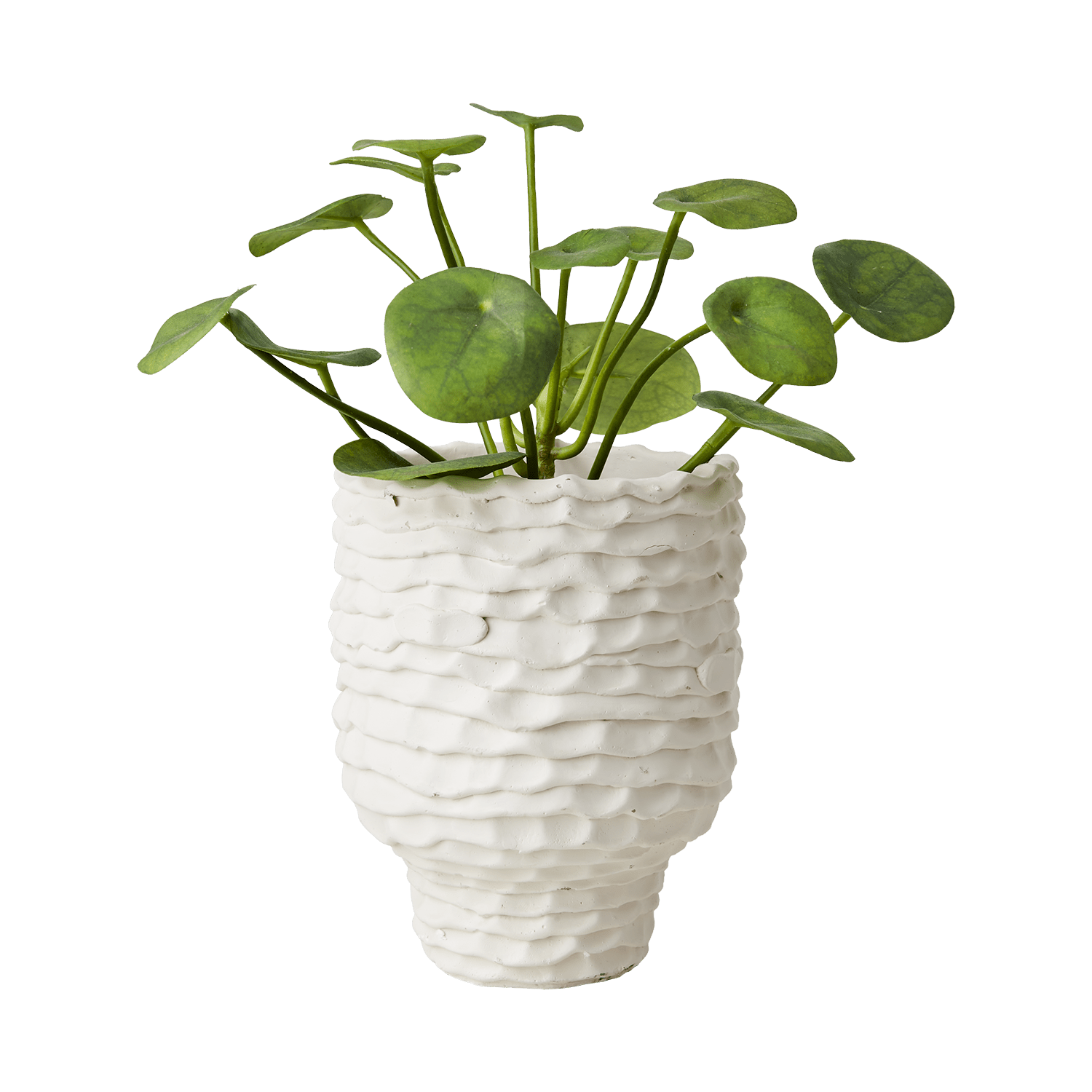 Affari of Sweden CREAM Kruka M, Elfenben - Azalea Home