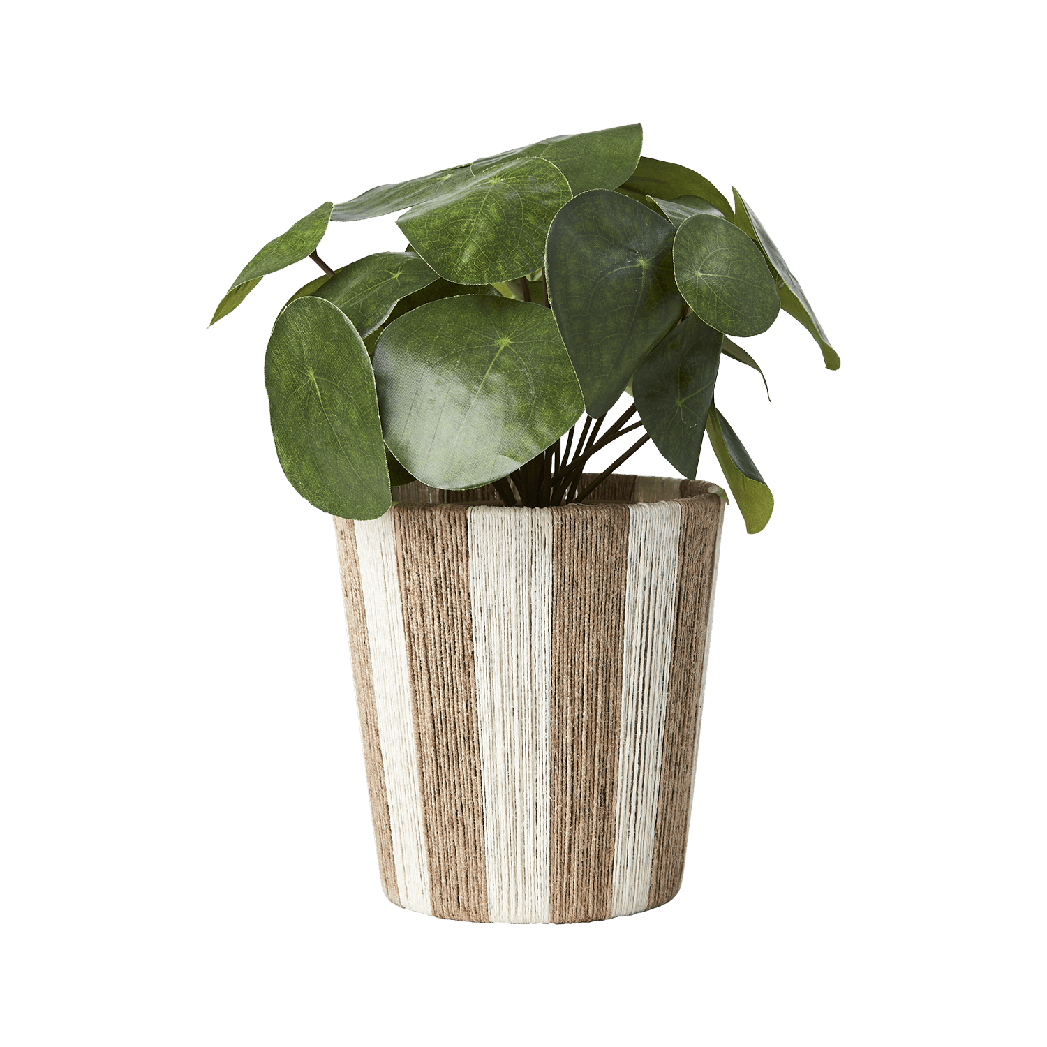 natur - Azalea Home
