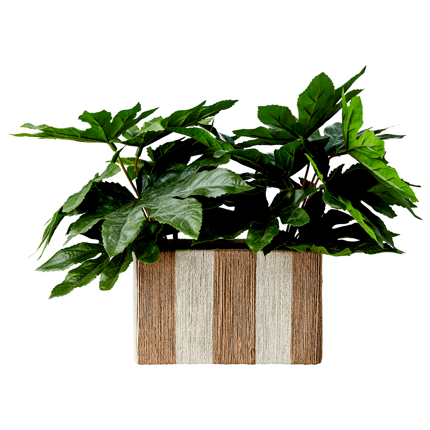 natur - Azalea Home