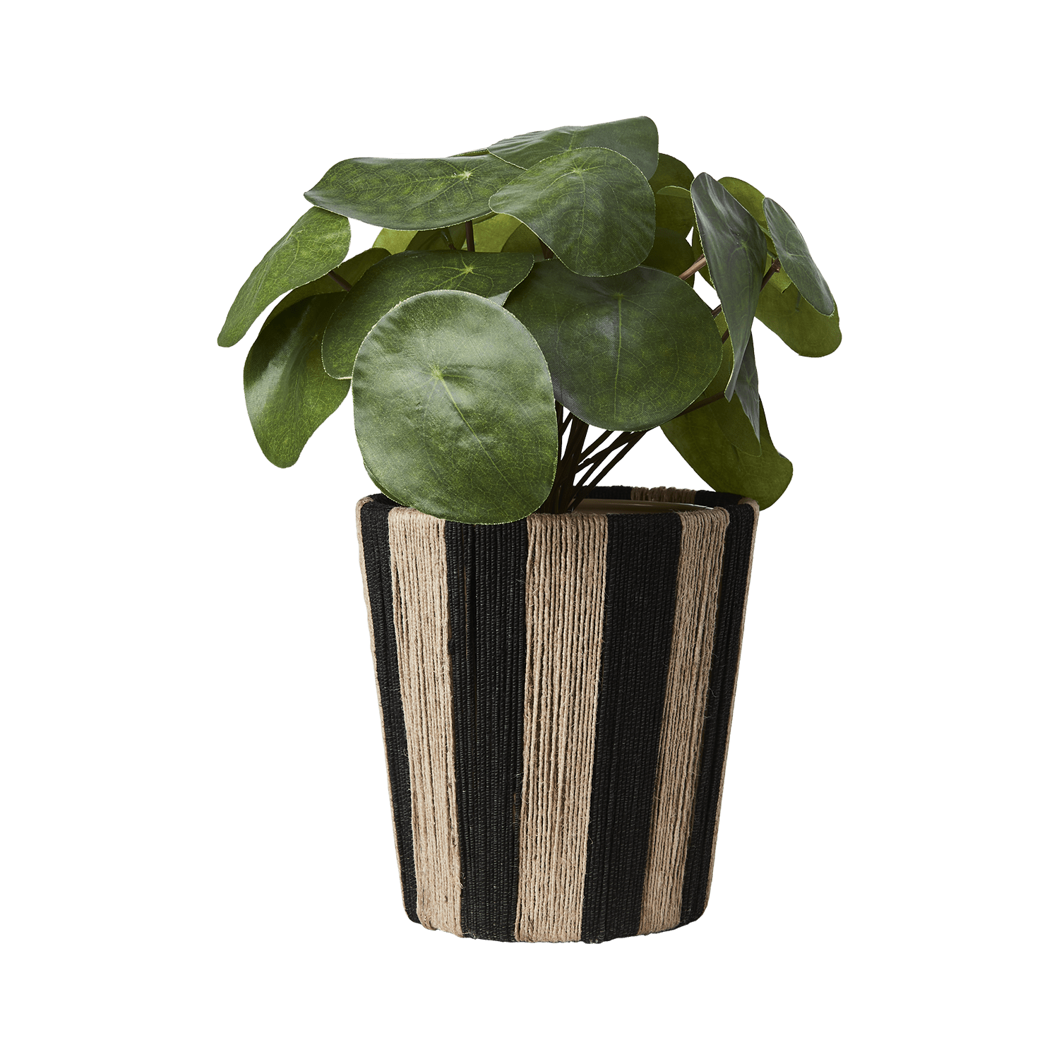 natur - Azalea Home