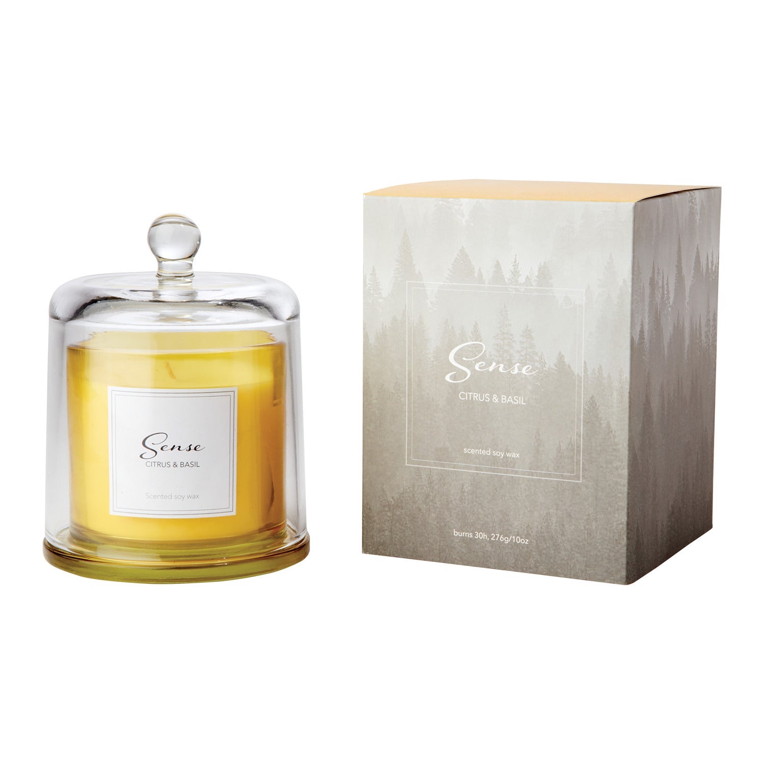 Affari of Sweden SENSE Doftljus med kupa Citrus & basil - Azalea Home