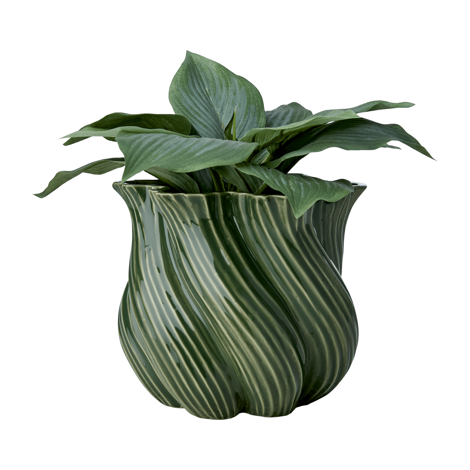 Affari of Sweden TWIST Vas, Grön - Azalea Home