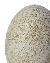 Affari of Sweden VIGGO Dekoration S, Beige - Azalea Home