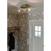 Aneta Lighting ARTIC takspot rund 3:a, matt mässing - Azalea Home