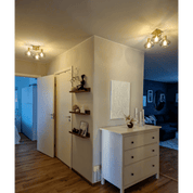 Aneta Lighting BELL plafond 3 - arm, matt mässing/rök - Azalea Home