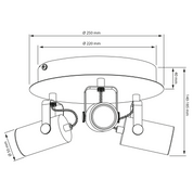 Aneta Lighting CILINDRO takspot rondell, svart/matt mässing - Azalea Home