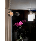 Aneta Lighting CYLINDER fönsterlampa, krom - Azalea Home