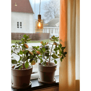 Aneta Lighting CYLINDER fönsterlampa, mässing - Azalea Home