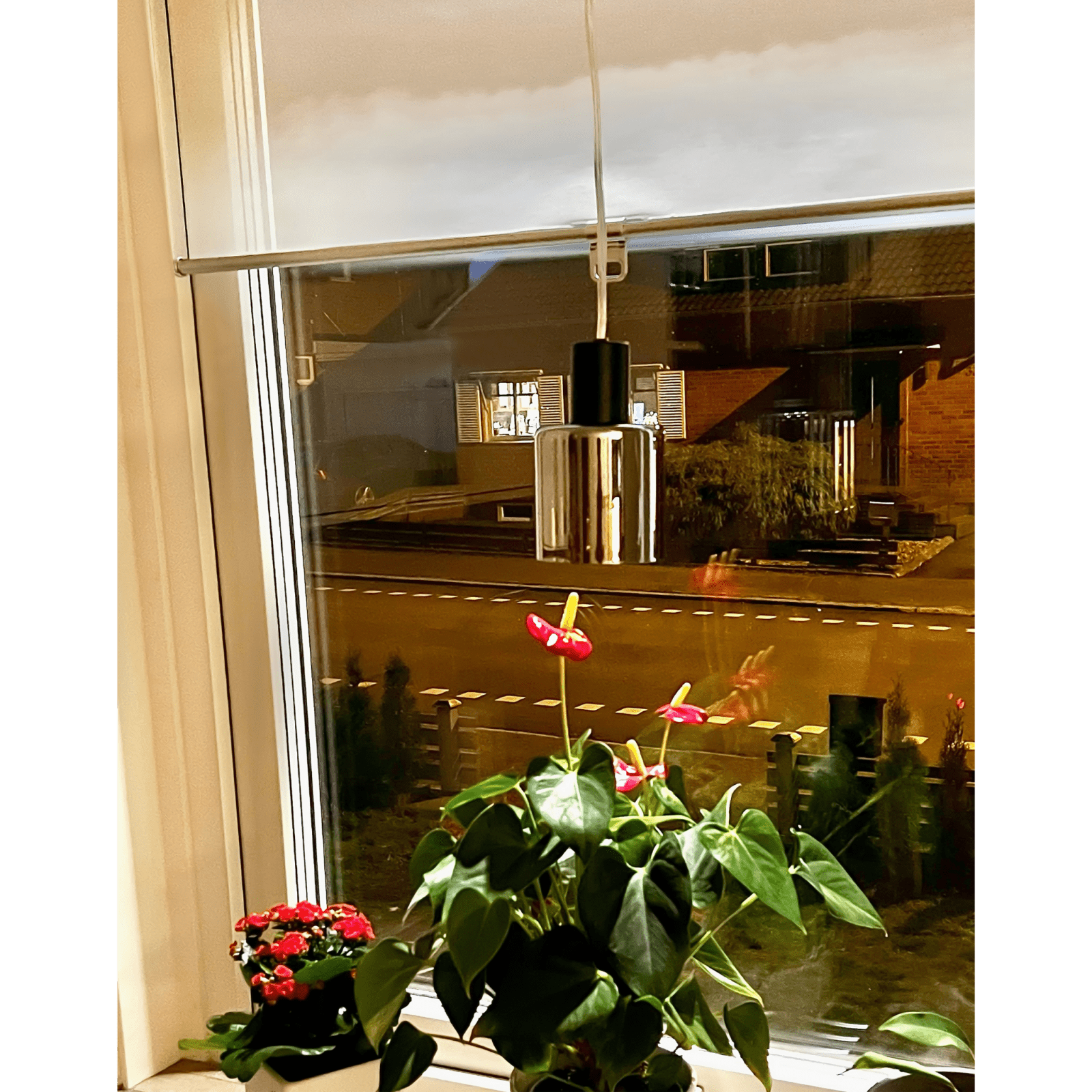 Aneta Lighting CYLINDER fönsterlampa, svart - Azalea Home