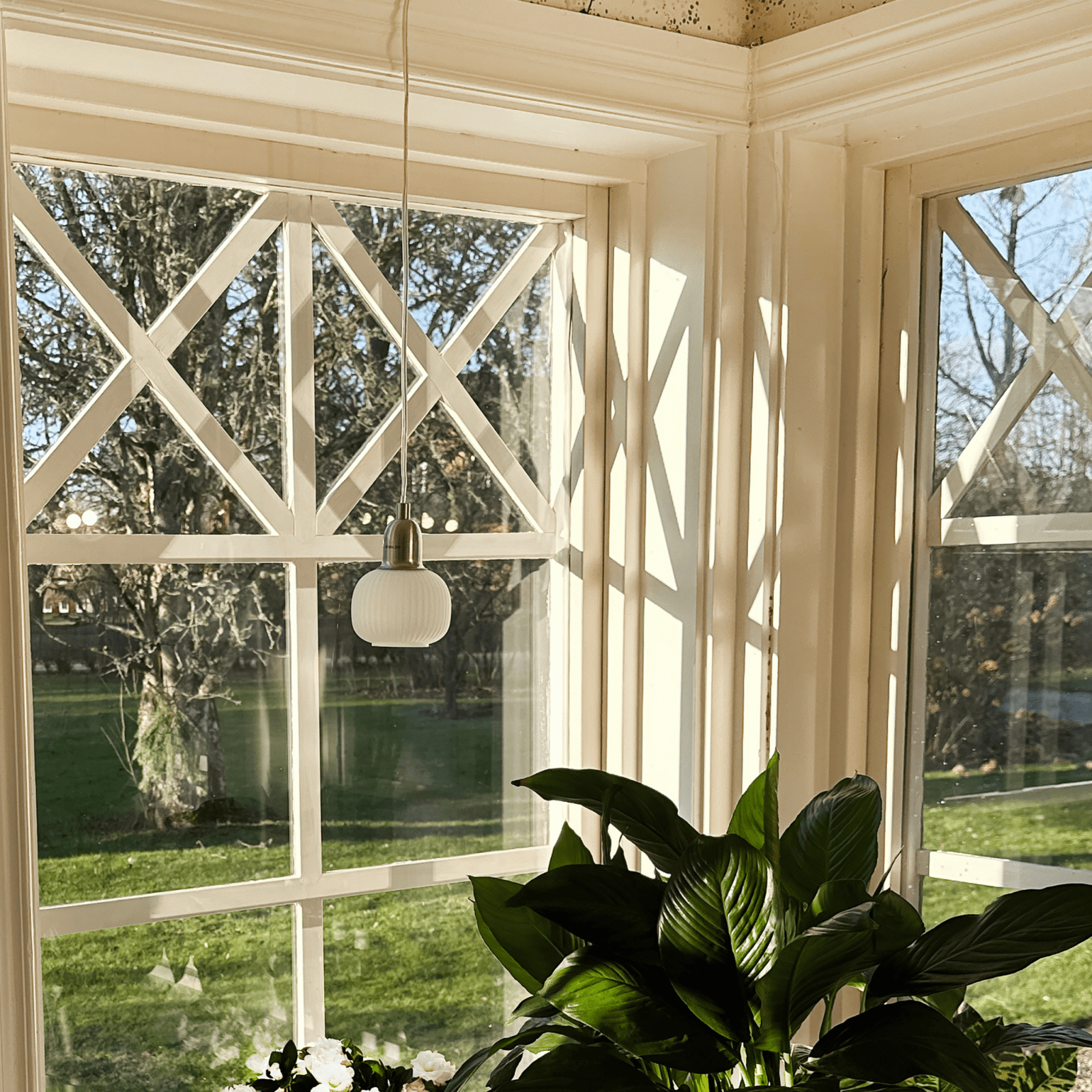 vit - Azalea Home