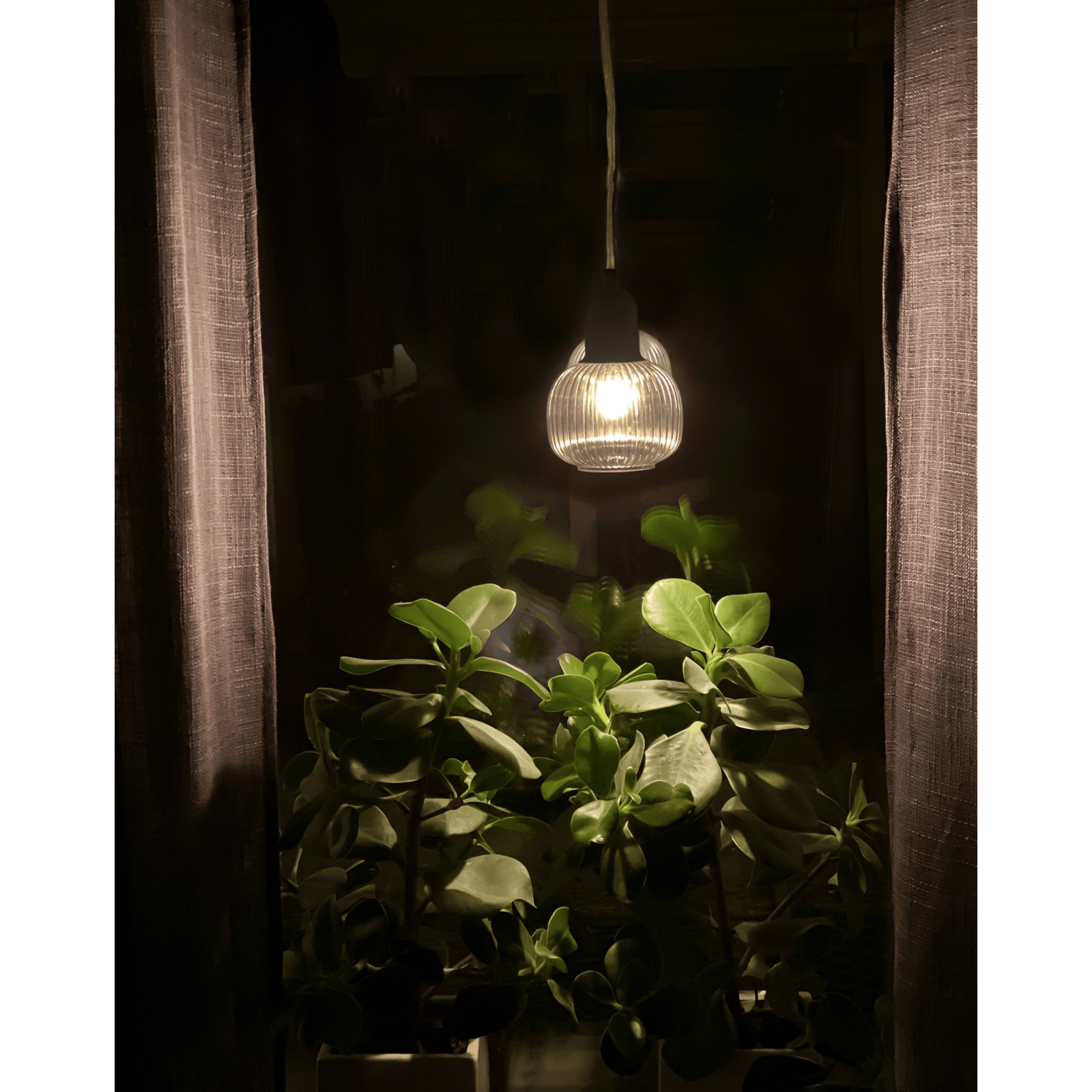 rök - Azalea Home