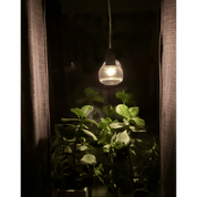 Aneta Lighting ELIN fönsterlampa, svart/rök - Azalea Home