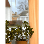 Aneta Lighting EPSILON fönsterlampa, sand - Azalea Home