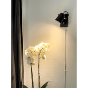 Aneta Lighting METZ vägglampa, svart/matt mässing - Azalea Home