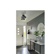 Aneta Lighting MOLEKYL plafond, svart/rök - Azalea Home