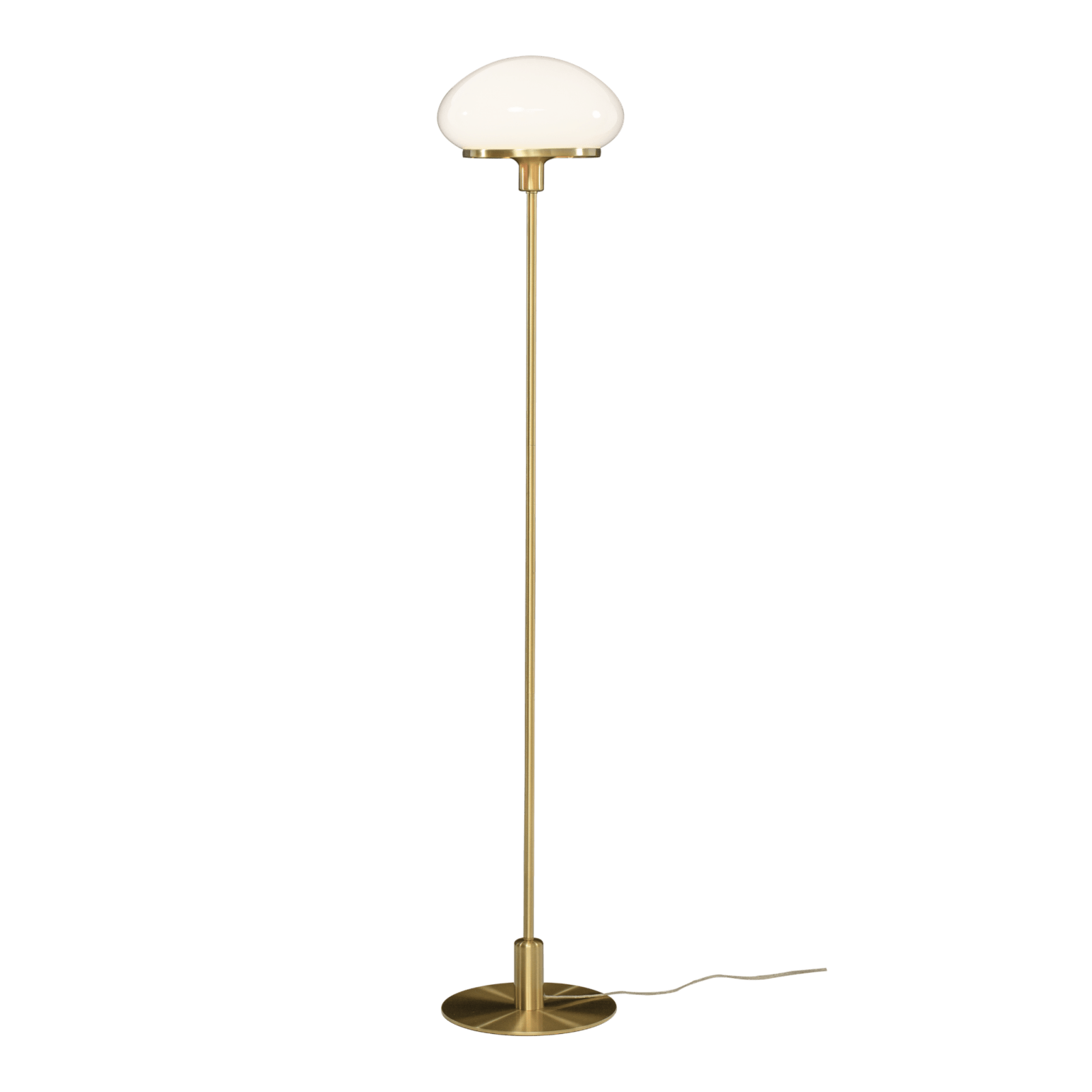 Aneta Lighting NEW AUGUST golvlampa, mässing - Azalea Home