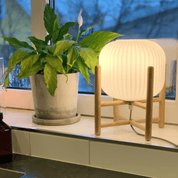Aneta Lighting VINDA bordlampa, vit - Azalea Home