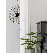 Aneta Lighting VIVA taklampa, svart - Azalea Home