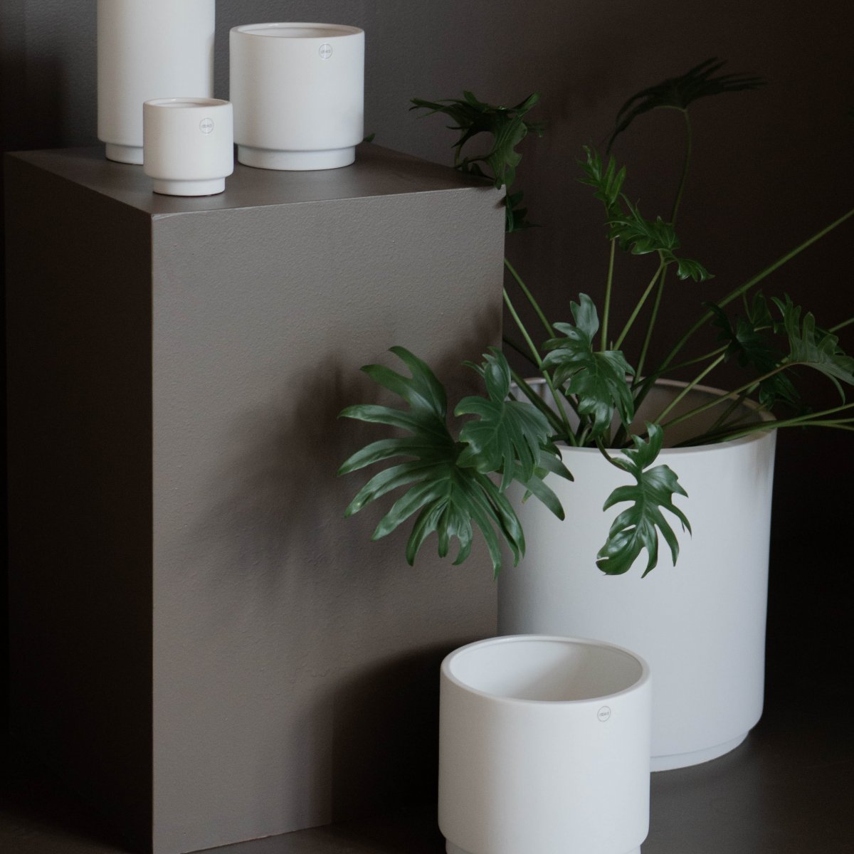aw21_studio_solid_white_210511-35square.jpg