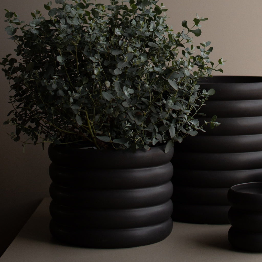 aw22_mud_black_square-28.jpg