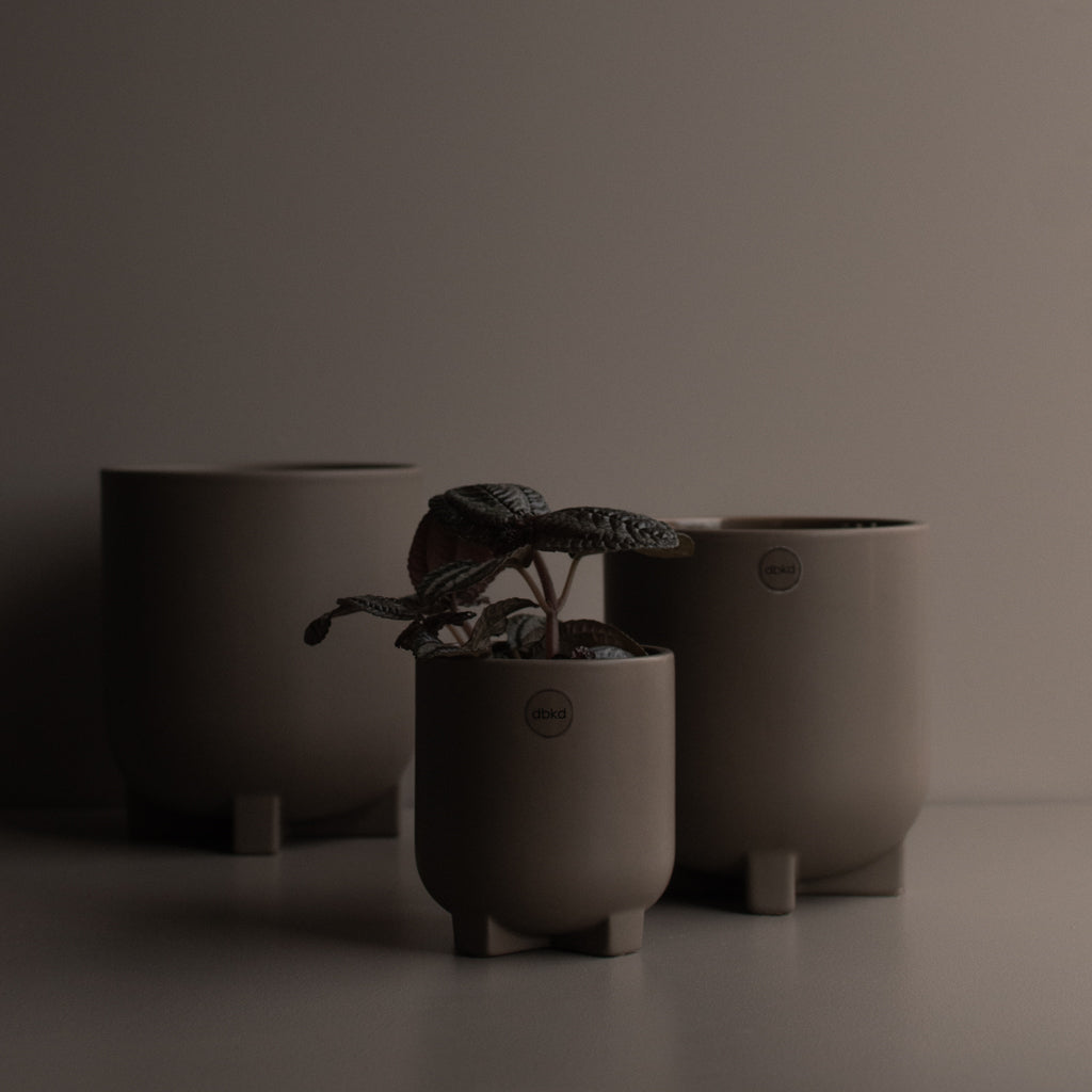 PLUS Kruka Small Ø14, dust