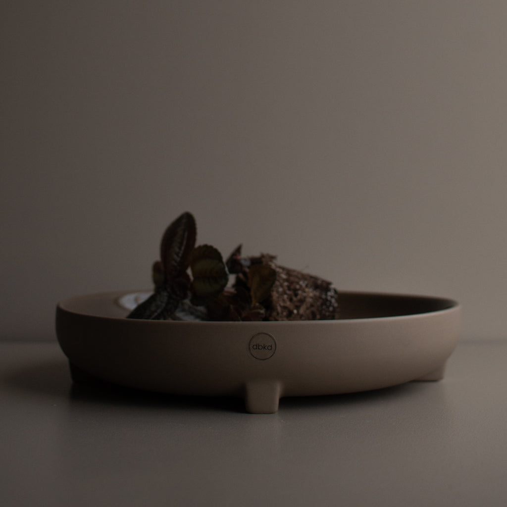 aw22_plus_dust_square-10.jpg