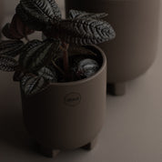 PLUS Kruka Mini Ø10, dust