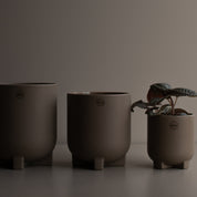 PLUS Kruka Small Ø14, dust