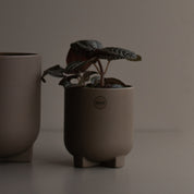PLUS Kruka Mini Ø10, dust