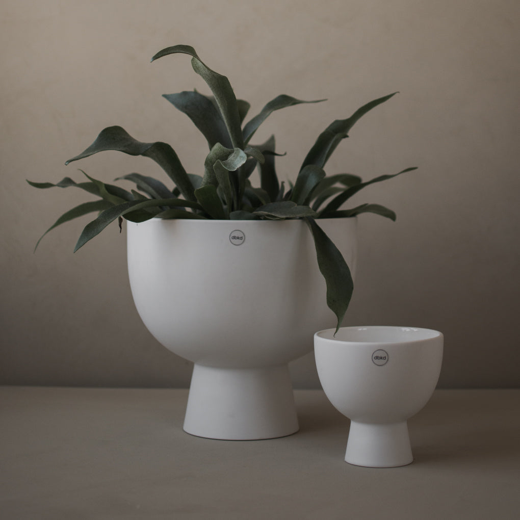aw23_figure_square-4.jpg