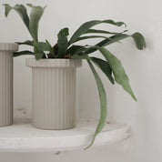 STRIPE POT Kruka sandy mole, small