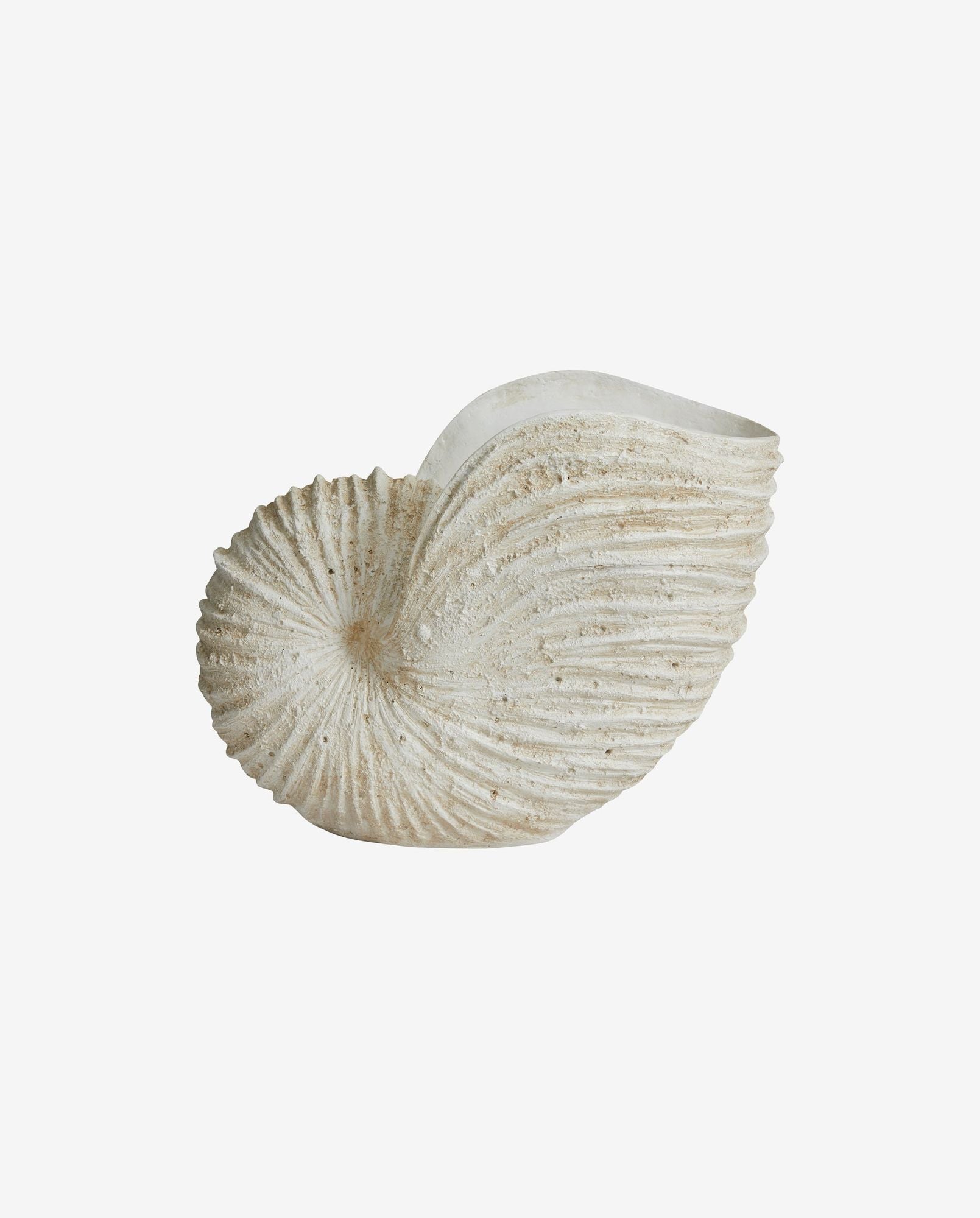 KETOY Shell Skulptur